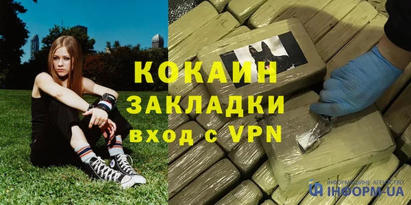 гидра Алексин