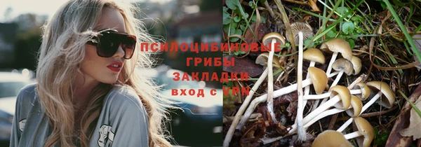 амфетамин Новодвинск