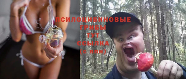 гидра Алексин