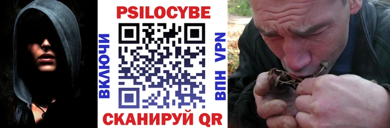 Псилоцибиновые грибы Psilocybe  закладки  Хвалынск 